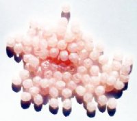 100 4mm Faceted Coated Matte Light Pink Firepolish Beads